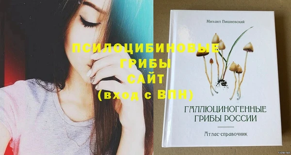 индика Дмитриев