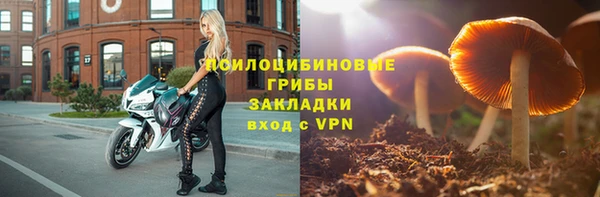 первитин Дмитровск