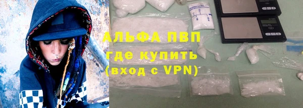 индика Дмитриев