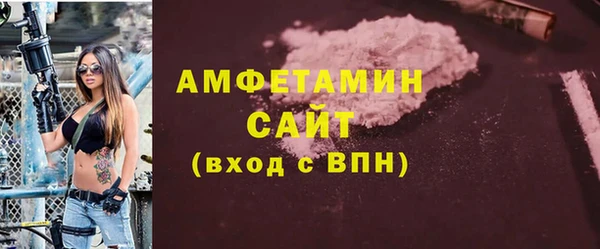 индика Дмитриев