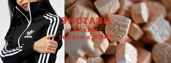индика Дмитриев