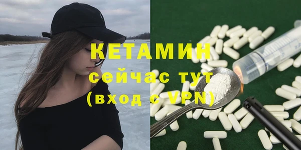 индика Дмитриев