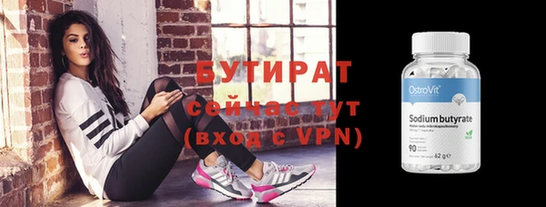 индика Дмитриев