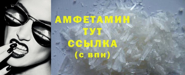 индика Дмитриев