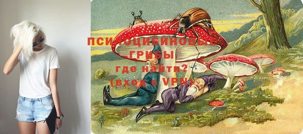 первитин Дмитровск
