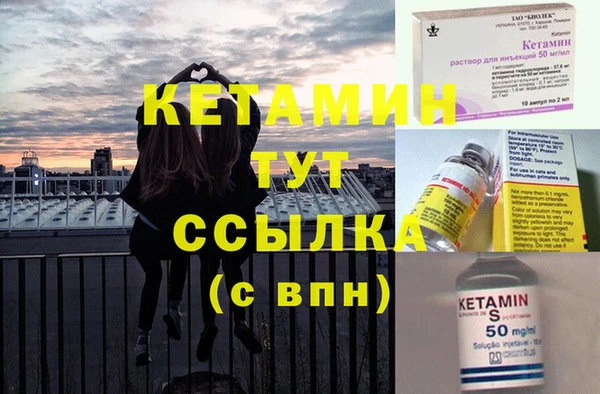 индика Дмитриев