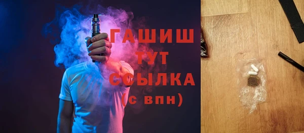 индика Дмитриев