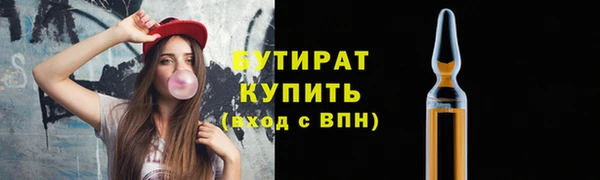 индика Дмитриев