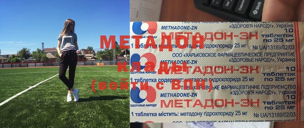 индика Дмитриев