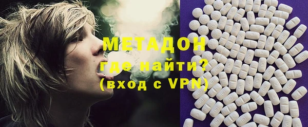 индика Дмитриев