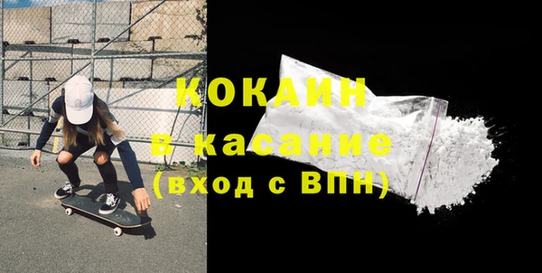 индика Дмитриев