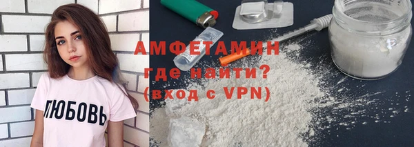 индика Дмитриев