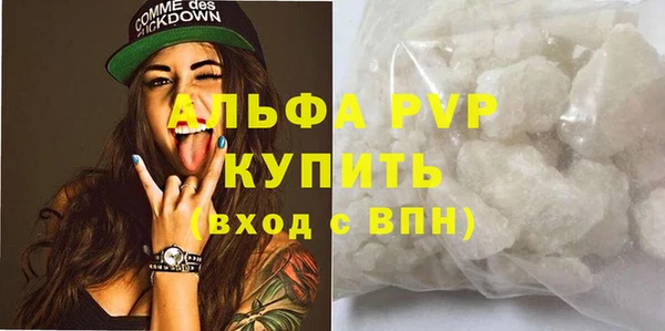 индика Дмитриев